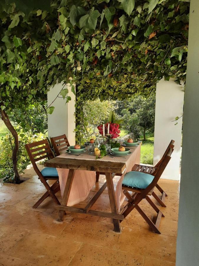 Finca Can Paci Santa Eularia des Riu Eksteriør bilde